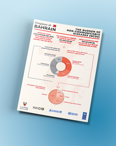 UNDP Infographic Portfolio Feature